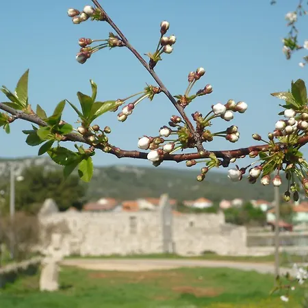 Apartment Vila Lidija A3 Kraj (Zadar)